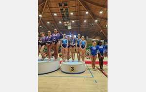 3 ième/7
Federale A 10-13 ans GAF en 10.5